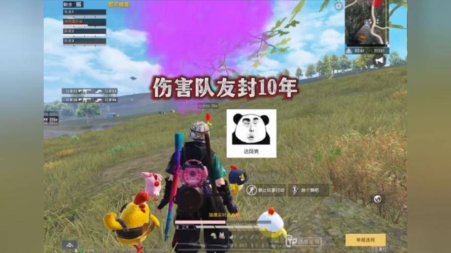 和平精英辅助【黑鲨直装】方框透视 无后自瞄 加速穿墙 雷达绘制  视角扩大 空投透视 人物射线 准星聚点